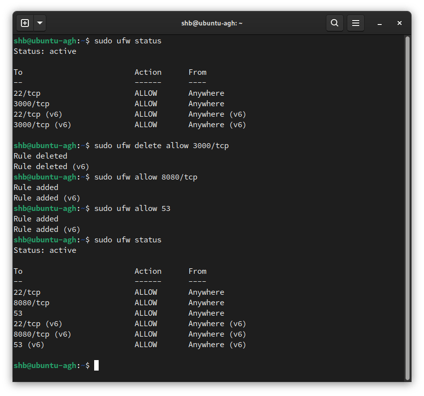 debian install adguard home